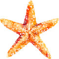 Starfish 1 Schlafzimmer Bungalow Gartenblick in der Nähe des Meeres logo