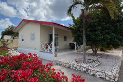 1 Bedroom Starfish
