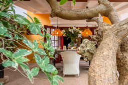 Garden bungalow Gepie 2 - Gepie Foto's