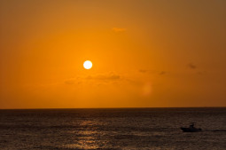 Sunset - Eagle Ray Foto's
