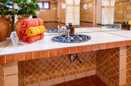 Seahorse bathroom 1b - Sea Horse Photos