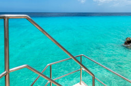 Tarpon stairs - Tarpon Fotos